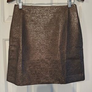 Loft Metallic Taffeta Shift skirt, sz 2